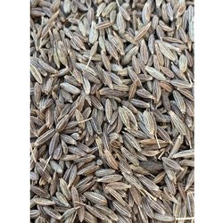 jeera seeds suppliers