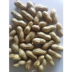 ground nut shell suppliers